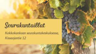 viinitarhan kypsynyt hedelmäterttu